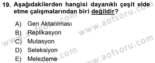 Fitopatoloji Dersi 2025 - 2026 Yılı (Final) Dönem Sonu Sınav Soruları 19. Soru