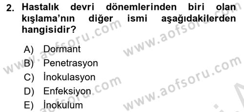 Fitopatoloji Dersi 2025 - 2026 Yılı (Final) Dönem Sonu Sınav Soruları 2. Soru