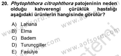 Fitopatoloji Dersi 2025 - 2026 Yılı (Final) Dönem Sonu Sınav Soruları 20. Soru