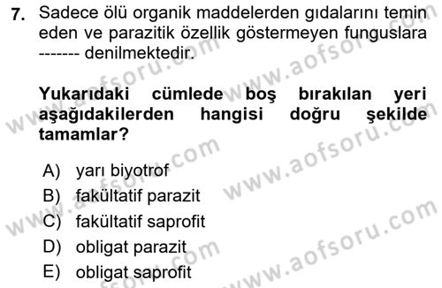 Fitopatoloji Dersi 2025 - 2026 Yılı (Final) Dönem Sonu Sınav Soruları 7. Soru