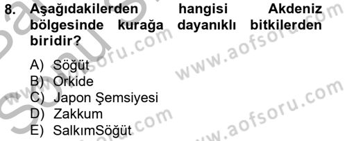 Peyzaj Çevre ve Tarım Dersi 2012 - 2013 Yılı (Final) Dönem Sonu Sınavı 8. Soru