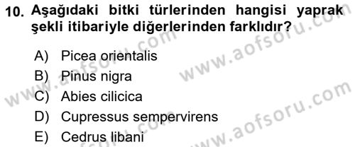 Peyzaj Çevre ve Tarım Dersi 2017 - 2018 Yılı 3 Ders Sınavı 10. Soru