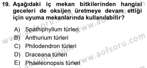 Peyzaj Çevre ve Tarım Dersi 2017 - 2018 Yılı 3 Ders Sınavı 19. Soru