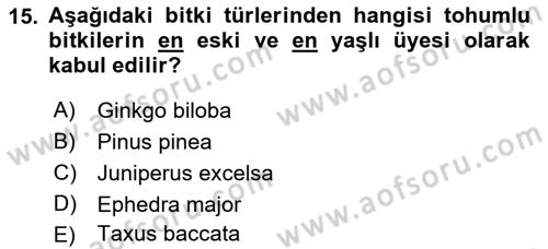 Peyzaj Çevre ve Tarım Dersi 2017 - 2018 Yılı (Vize) Ara Sınavı 15. Soru