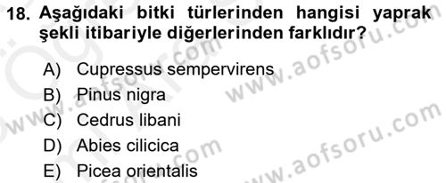 Peyzaj Çevre ve Tarım Dersi 2017 - 2018 Yılı (Vize) Ara Sınavı 18. Soru