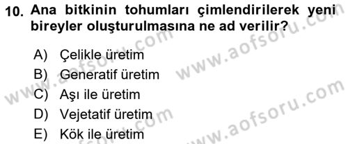 Peyzaj Çevre ve Tarım Dersi 2018 - 2019 Yılı 3 Ders Sınavı 10. Soru