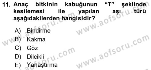 Peyzaj Çevre ve Tarım Dersi 2018 - 2019 Yılı 3 Ders Sınavı 11. Soru