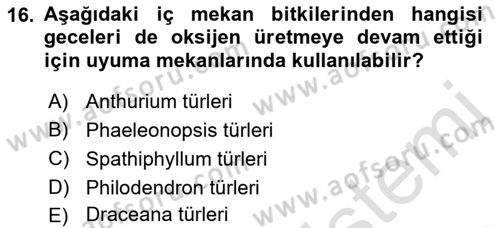 Peyzaj Çevre ve Tarım Dersi 2018 - 2019 Yılı 3 Ders Sınavı 16. Soru