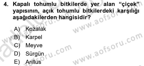 Peyzaj Çevre ve Tarım Dersi 2018 - 2019 Yılı 3 Ders Sınavı 4. Soru