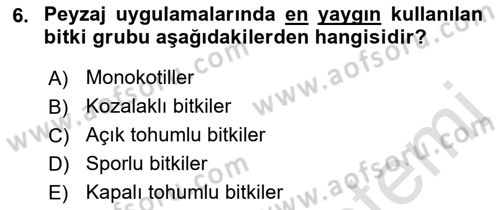 Peyzaj Çevre ve Tarım Dersi 2018 - 2019 Yılı 3 Ders Sınavı 6. Soru