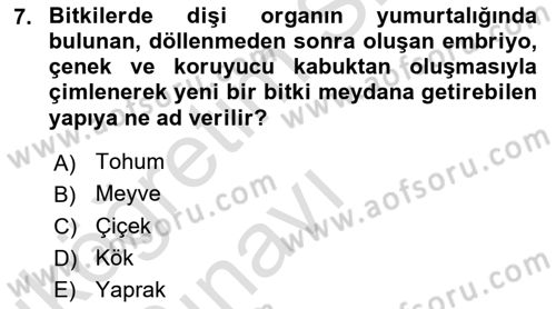 Peyzaj Çevre ve Tarım Dersi 2018 - 2019 Yılı 3 Ders Sınavı 7. Soru