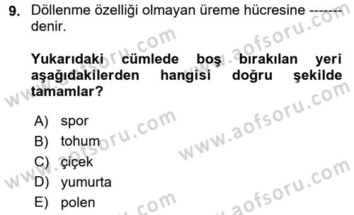 Peyzaj Çevre ve Tarım Dersi 2018 - 2019 Yılı 3 Ders Sınavı 9. Soru