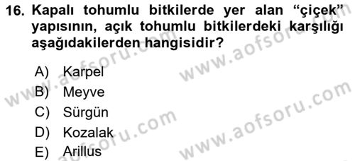 Peyzaj Çevre ve Tarım Dersi 2018 - 2019 Yılı (Vize) Ara Sınavı 16. Soru