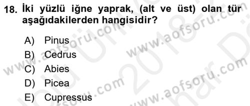 Peyzaj Çevre ve Tarım Dersi 2018 - 2019 Yılı (Vize) Ara Sınavı 18. Soru