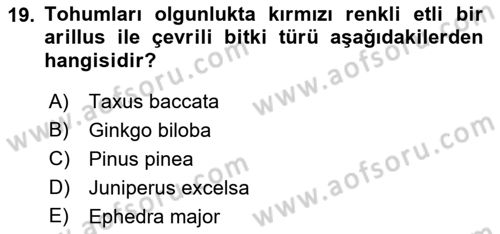 Peyzaj Çevre ve Tarım Dersi 2018 - 2019 Yılı (Vize) Ara Sınavı 19. Soru