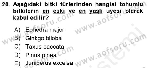 Peyzaj Çevre ve Tarım Dersi 2018 - 2019 Yılı (Vize) Ara Sınavı 20. Soru