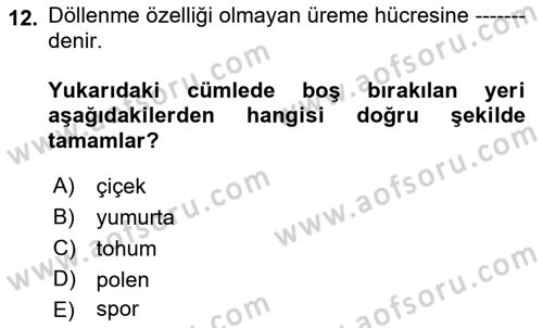 Peyzaj Çevre ve Tarım Dersi 2018 - 2019 Yılı (Final) Dönem Sonu Sınavı 12. Soru