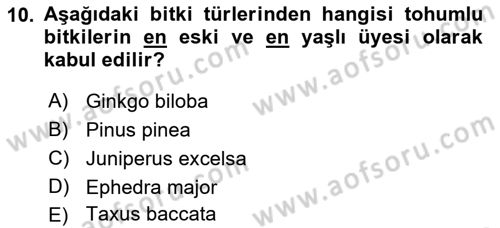 Peyzaj Çevre ve Tarım Dersi 2018 - 2019 Yılı Yaz Okulu Sınavı 10. Soru