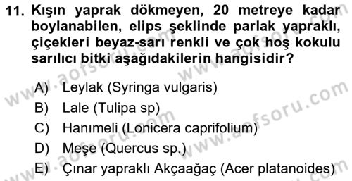 Peyzaj Çevre ve Tarım Dersi 2018 - 2019 Yılı Yaz Okulu Sınavı 11. Soru