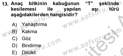 Peyzaj Çevre ve Tarım Dersi 2018 - 2019 Yılı Yaz Okulu Sınavı 13. Soru