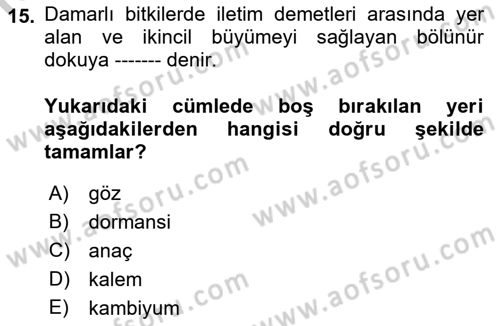 Peyzaj Çevre ve Tarım Dersi 2018 - 2019 Yılı Yaz Okulu Sınavı 15. Soru