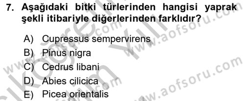 Peyzaj Çevre ve Tarım Dersi 2018 - 2019 Yılı Yaz Okulu Sınavı 7. Soru