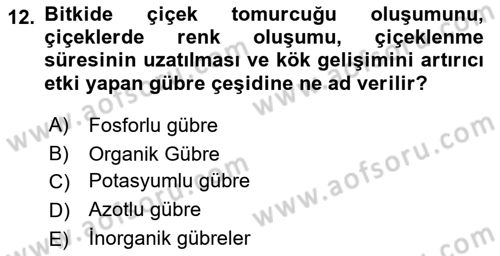 Peyzaj Çevre ve Tarım Dersi 2020 - 2021 Yılı Yaz Okulu Sınavı 12. Soru