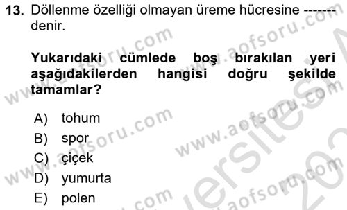 Peyzaj Çevre ve Tarım Dersi 2020 - 2021 Yılı Yaz Okulu Sınavı 13. Soru