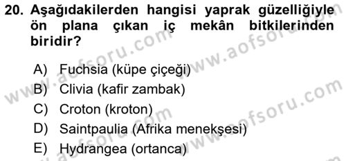 Peyzaj Çevre ve Tarım Dersi 2020 - 2021 Yılı Yaz Okulu Sınavı 20. Soru