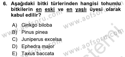 Peyzaj Çevre ve Tarım Dersi 2020 - 2021 Yılı Yaz Okulu Sınavı 6. Soru