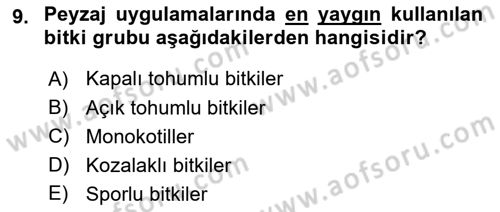 Peyzaj Çevre ve Tarım Dersi 2020 - 2021 Yılı Yaz Okulu Sınavı 9. Soru