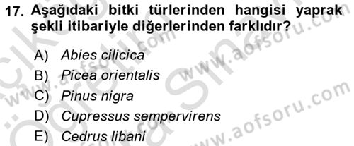 Peyzaj Çevre ve Tarım Dersi 2021 - 2022 Yılı (Vize) Ara Sınav Soruları 17. Soru