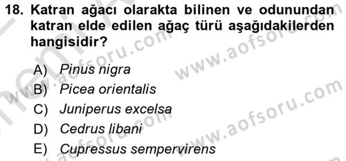 Peyzaj Çevre ve Tarım Dersi 2021 - 2022 Yılı (Vize) Ara Sınav Soruları 18. Soru