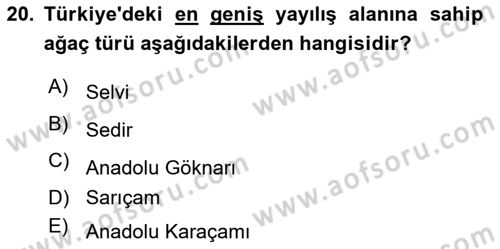 Peyzaj Çevre ve Tarım Dersi 2021 - 2022 Yılı (Vize) Ara Sınav Soruları 20. Soru