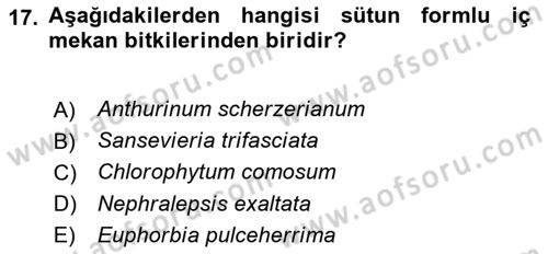 Peyzaj Çevre ve Tarım Dersi 2021 - 2022 Yılı (Final) Dönem Sonu Sınavı 17. Soru