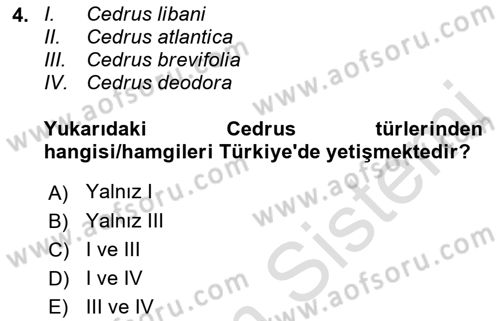 Peyzaj Çevre ve Tarım Dersi 2021 - 2022 Yılı (Final) Dönem Sonu Sınavı 4. Soru