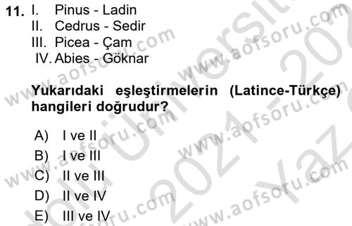 Peyzaj Çevre ve Tarım Dersi 2021 - 2022 Yılı Yaz Okulu Sınavı 11. Soru