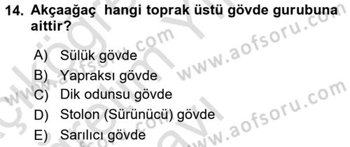 Peyzaj Çevre ve Tarım Dersi 2021 - 2022 Yılı Yaz Okulu Sınavı 14. Soru