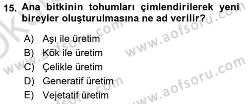 Peyzaj Çevre ve Tarım Dersi 2021 - 2022 Yılı Yaz Okulu Sınavı 15. Soru