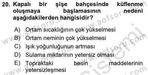 Peyzaj Çevre ve Tarım Dersi 2021 - 2022 Yılı Yaz Okulu Sınavı 20. Soru