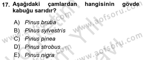 Peyzaj Çevre ve Tarım Dersi 2023 - 2024 Yılı (Vize) Ara Sınavı 17. Soru