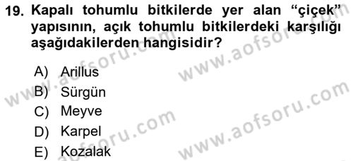 Peyzaj Çevre ve Tarım Dersi 2023 - 2024 Yılı (Vize) Ara Sınavı 19. Soru