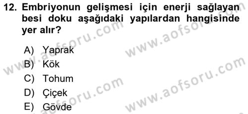 Peyzaj Çevre ve Tarım Dersi 2023 - 2024 Yılı (Final) Dönem Sonu Sınavı 12. Soru