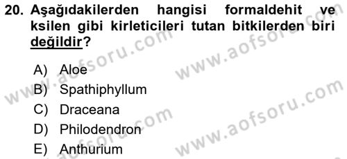 Peyzaj Çevre ve Tarım Dersi 2023 - 2024 Yılı (Final) Dönem Sonu Sınavı 20. Soru