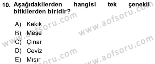 Peyzaj Çevre ve Tarım Dersi 2023 - 2024 Yılı Yaz Okulu Sınav Soruları 10. Soru