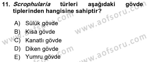 Peyzaj Çevre ve Tarım Dersi 2023 - 2024 Yılı Yaz Okulu Sınav Soruları 11. Soru