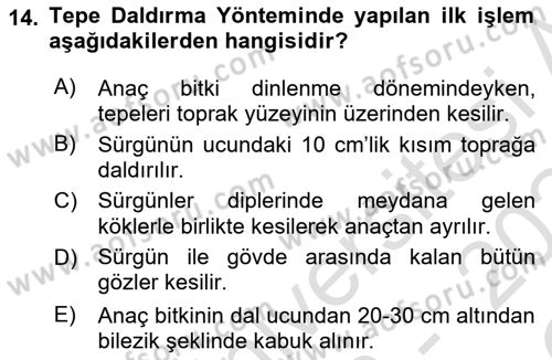 Peyzaj Çevre ve Tarım Dersi 2023 - 2024 Yılı Yaz Okulu Sınav Soruları 14. Soru