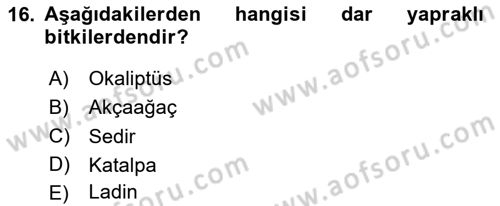 Peyzaj Çevre ve Tarım Dersi 2023 - 2024 Yılı Yaz Okulu Sınav Soruları 16. Soru