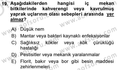 Peyzaj Çevre ve Tarım Dersi 2023 - 2024 Yılı Yaz Okulu Sınav Soruları 19. Soru