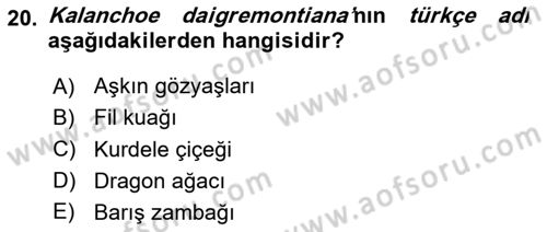 Peyzaj Çevre ve Tarım Dersi 2023 - 2024 Yılı Yaz Okulu Sınav Soruları 20. Soru